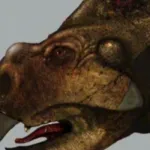 Protoceratops (Animal Armageddon)