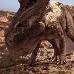Protoceratops (Dinosaur Revolution)