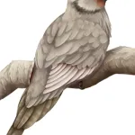 Paleospiza