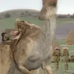 Parasaurolophus (Dinotopia)