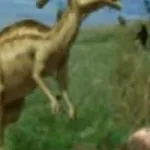Parasaurolophus (Jurassic Park 3: Park Builder)