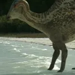 Parasaurolophus (Prehistoric Park)