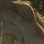 Thunder (Wonderbook: Walking with Dinosaurs)