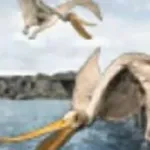 Pterodaustro (Jurassic Park 3: Park Builder)