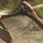 Pterodaustro (Wonderbook: Walking with Dinosaurs)