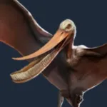 Pterodaustro (Jurassic World: Primal Ops)
