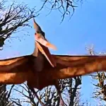 Pteranodon (T-Rex: Back to the Cretaceous)