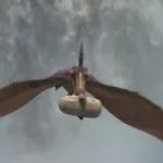 Pteranodon (Dinosaur) (2000)