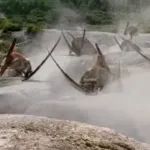 Pteranodon (The Lost World) (2001)
