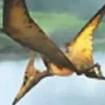 Pteranodon (Jurassic Park 3: Park Builder)