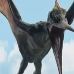 Pteranodon (Jurassic World: Chaos Theory)