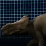 Pachyrhinosaurus (Arctic Dinosaurs)