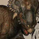 Pachyrhinosaurus (Ark: Surival Evolved)