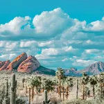 Sonoran Desert