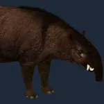Hilarcotherium