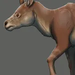 Neodolodus