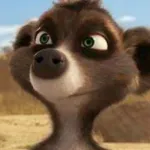Billy The Meerkat