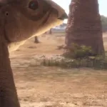 Camptosaurus (Planet Dinosaur)