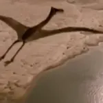 Quetzalcoatlus (The Ultimate Guide)