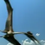 Quetzalcoatlus (Giant Monsters)