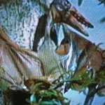 Rhamphorhynchus (The Animal World)