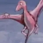 Rhamphorhynchus (Evolution)