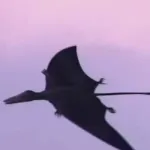 Rhamphorhynchus (The Life of Birds)