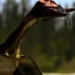 Rhamphorhynchus (Walking with Dinosaurs)