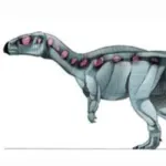 Rhabdodon (Jurassic Park Institute)