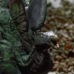 Stegosaurus (Prehysteria!)