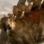 Stegosaurus (Dinotopia)