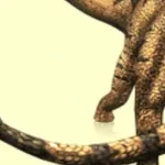 Shunosaurus (Dinosaur King)