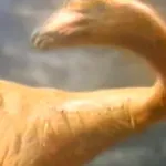 Struthiomimus (Dinosaur!) (1985)