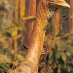 Struthiomimus (T-Rex: Back to the Cretaceous)