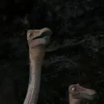 Struthiomimus (Dinosaur) (2000)