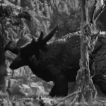 Styracosaurus (Son of Kong)