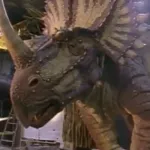 Styracosaurus (Dinosaurs Inside & Out)