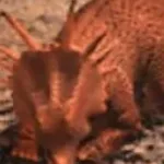 Styracosaurus (Jurassic Park III: Park Builder)