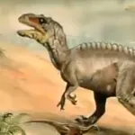 Acrocanthosaurus (Paleoworld) (1994-1997)