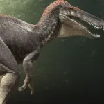 Suchomimus (The Isle)