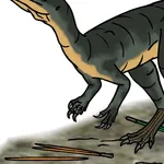 Saltopus