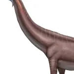 Phuwiangosaurus
