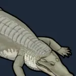 Siamosuchus