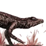 Theriosuchus