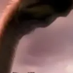 Gigantoraptor (Bizarre Dinosaurs) (2009)