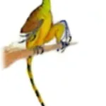 Sinornithosaurus (Jurassic Park Institute)