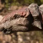 Sauropelta (The Dinosaurs) (2026)