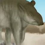 Pygmy Tapir
