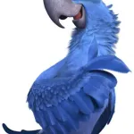 Blu (Rio)