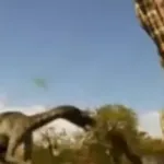 Troodon (Dino Autopsy)